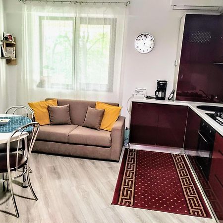 Simona Apartament Palas Mall 1 ياش المظهر الخارجي الصورة